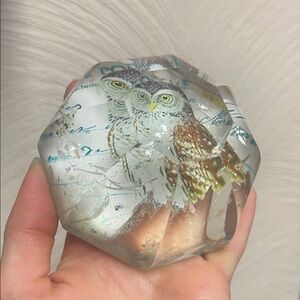 Owl Art Glass Paperweight